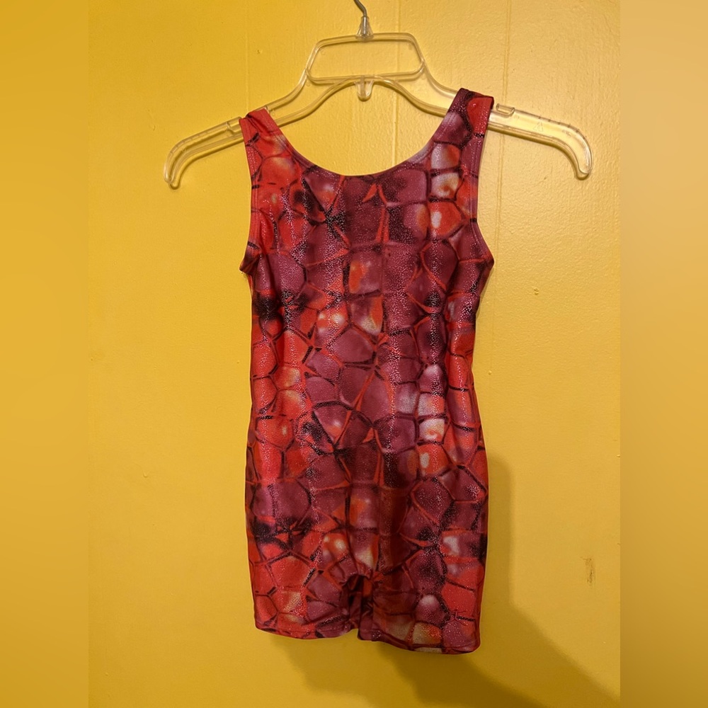 Danskin Dance/gymnastics Leotard